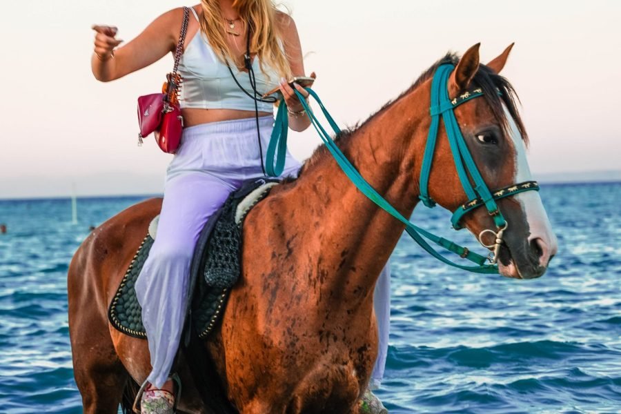 Horse riding in Red Sea Hurghada